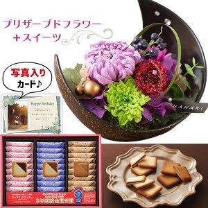 ԂƂَq  vU[uht[ a    Ro`RTh Mtg Zbg v[g j N ސEj j e 60 av[g (DB)[]  Vzj 