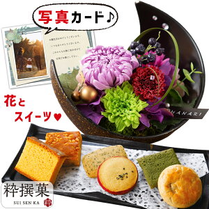 ԂƂَq  vU[uht[ a     Mtg v[g j N ސEj j e 50 60 av[g (DB)[]  j oY j 1~ [ԃZ]