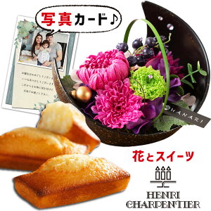  vU[uht[ a  sN  AVpeBG ĉَq Mtg Zbg v[g j ސEj j e 60 av[g (DB)[] oY j XC[c