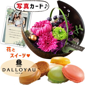 ԂƂَq  vU[uht[ a  sN  _C }J Mtg Zbg v[g e j ސEj j lC LO  50 60 70 av[