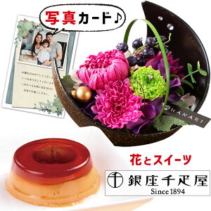 ԂƂَq  vU[uht[ a  sN  }v Mtg Zbg v[g j N ސEj e 60 av[g (DB)[] j oY j 10000~ [