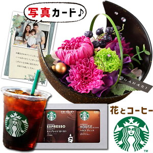  vU[uht[ a  sN  X^[obNX R[q[ Mtg v[g j N ސEj j e 60 av[g (DB)[] oY j   R[q[ Z