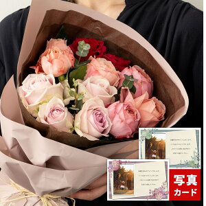 o u[P XC[g 12{ ԑ   t[ Mtg v|[Y _Y[Y a v[g TvCY ʂȑ蕨 މ@ ސE oY j  j j Ԃ  