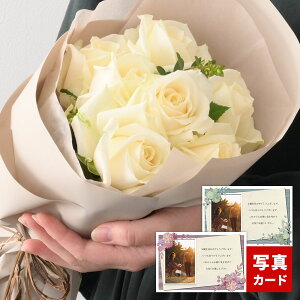 o u[P sA 8{ ԑ   t[ Mtg a v[g TvCY މ@ ސE oY j j  Ê  P Ď  j Ԃ  } tw 30