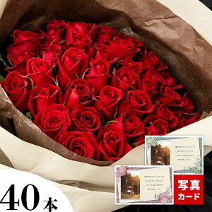 o u[P [W 40{ ԑ   t[ Mtg a v[g v|[Y TvCY މ@ ސE oY j  j j Ԃ  } tw 15000~ LO