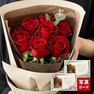 o u[P [W 8{ ԑ   t[ Mtg a v[g TvCY މ@ ސE oY j  j  Ê  P Ď  j Ԃ  } tw