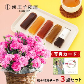 付きメッセージ 母の日 プレゼント ギフト 生花 花 カーネーション ピンク 鉢植え 5号 と 千疋屋 フルーツ 羊羹 ようかん お茶 花と 和菓子 セット 和菓子セット お花とお菓子 70代 80代 プレゼント 花とお菓子 母の日ギフト (HSE) 花とスイーツ 花 セット 入学 入学内祝い