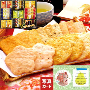 oYj َq FT Y 100 ׂ C 3000~ aَq Mtg   ʐ^t  J[h oYj Ԃ  j  Vz j Ԃ ʐ^ w ~ 