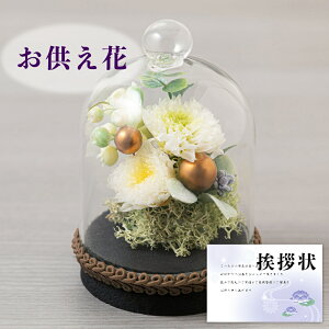    vU[uht[ AWg 䋟  ~  ފ  ~ V~ @     O     (DB) [] [] 