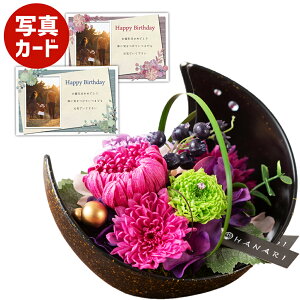  a  sN vU[uht[ v[g j j av[gv[g Mtg  60 (DB) [] N ސEj Ԃ ͂Ȃ 蕨 e   7