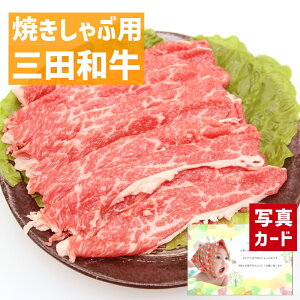 Ε ~Mtg oYj Mtg Oc a Ăԗp oXCX400g   Y a 蕨   lC oY j  j Ԃ e   5000~ gift present 