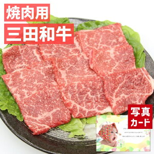 Ε  ~Mtg oYj Mtg Oc a ēp 400g   Y a 蕨   lC oY j  j Ԃ e   O (SK)y  L