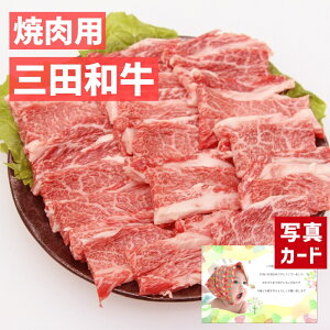 y10%OFF_X[p[Z[^z oYj Mtg Oc a ēp o500g   Y a 蕨   lC oY j  j Ԃ e   ꖜ~ O (S
