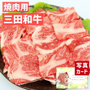 oYj Mtg Oc a ēp [X500g   Y a 蕨   lC oY j  j Ԃ e   ꖜ~ O (SK)y  1~ LO 