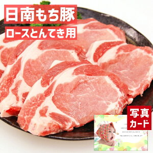 oYj Mtg   [XgeLp  ؓ Y  蕨   lC oY j  j Ԃ e   5000~ winter present (SK)y  LO  