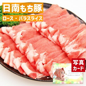 Ε  oYj Mtg   [XEoXCX  ؓ Y  蕨   lC oY j  j Ԃ e   5000~ gift present (SK)y  