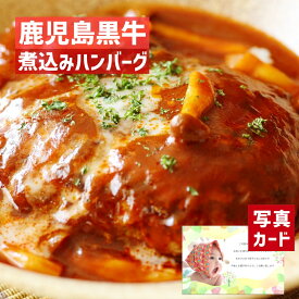 【 出産内祝い ギフト 】 鹿児島 黒牛 煮込みハンバーグ(4個) 洋食 グルメ お肉 惣菜 贈り物 お礼 お見舞い 人気 出産内祝い 出産 内祝い 結婚 お祝い お返し 両親 女性 実家 5000円 (SK)軽 肉 ランキング 80代 母の日