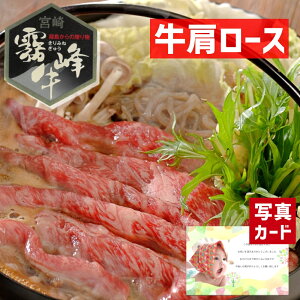 y10%OFFZ[z oYj Mtg  [X Ă p i600gj a   蕨  lC oY j  j e   ꖜ~ O (SK)y  1~ 