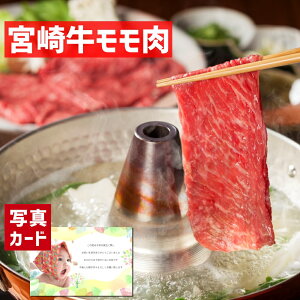 oYj Mtg {苍 Ă Ԃ p Y a   蕨  lC oY j  j e   ꖜ~ O (SK)y  1~ LO 80 