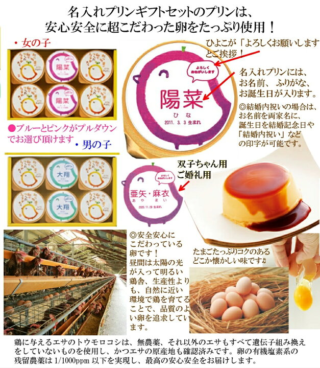 楽天市場 出産内祝い 名入れ プリン６ 内祝い 出産 お返し お祝い返し おしゃれ 名入れ 内祝いお返し ランキング 菓子 1歳誕生日 ギフト 結婚祝い 5000円 結婚祝 出産内祝いお菓子 結婚内祝い 内祝い名入れ Gift Ad 名入れg 軽 母の日 入学 入学内祝い 入学祝い