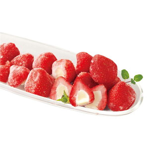 Ε ~Mtg N Nn   tE䕃ACX 18 ACX  XC[c fU[g ACXN[ 蕨 NMtg ~̑蕨 ӂ̑蕨 O HiMtg  