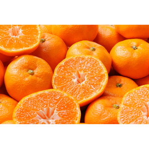 Ε  ~Mtg N Nn   a̎RY Lc݂ 2D5kg ݂ t[cMtg ʕ W[V[ Â 蕨 NMtg ~̑蕨 ӂ̑蕨 O HiMtg 