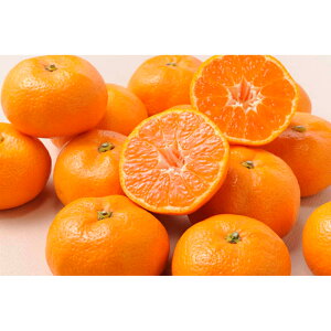 Ε  ~Mtg N Nn   Q݂ 2kg ݂ t[cMtg ʕ W[V[ Â 蕨 NMtg ~̑蕨 ӂ̑蕨 O HiMtg  