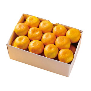 Ε  ~Mtg N Nn   Q݂ 3kg ݂ t[cMtg ʕ W[V[ Â 蕨 NMtg ~̑蕨 ӂ̑蕨 O HiMtg  