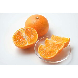 Ε  ~Mtg N Nn   QY g܂ǂ IWi k t[cMtg ʕ W[V[ Â 蕨 NMtg ~̑蕨 ӂ̑蕨 O HiMt