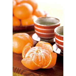 Ε  ~Mtg N Nn   R 哇݂iGj ݂ t[cMtg ʕ W[V[ Â 蕨 NMtg ~̑蕨 ӂ̑蕨 O HiMtg 