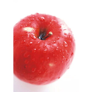 Ε  ~Mtg N Nn   XY Tӂ ь ̌b  t[cMtg ʕ W[V[ Â 蕨 NMtg ~̑蕨 ӂ̑蕨 O HiM