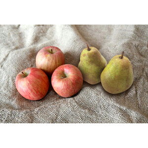 Ε  ~Mtg N Nn  Tӂ EtX  ь m ʕ t[c 蕨 NMtg ~̑蕨 ӂ̑蕨 O HiMtg   