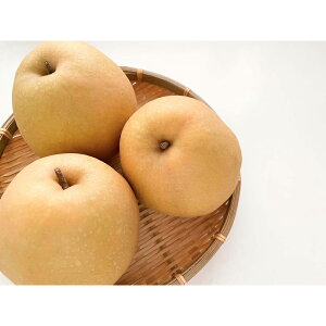 ΕMtg N Nn  挧Y H 3D5kg   ʕ t[c 蕨 NMtg ~̑蕨 ӂ̑蕨 O HiMtg    6000~ (SADf) [