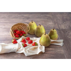 Ε  ~Mtg N Nn  EtX  m  ʕ t[c I 蕨 NMtg ~̑蕨 ӂ̑蕨 O HiMtg    600