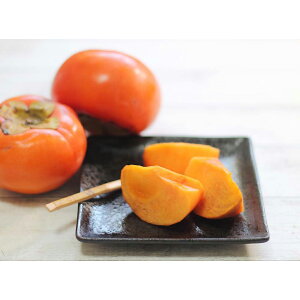 Ε  ~Mtg N Nn   Ђ炽̕xL`  ` 12  ʓ h{Lx t[cMtg ʕ 蕨 NMtg ~̑蕨 ӂ̑蕨 O HiMtg 