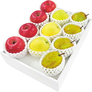 ΕMtg N Nn  EtX Tӂ  ь  m l ʕ t[c { 蕨 NMtg ~̑蕨 ӂ̑蕨 O HiMtg  