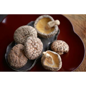 Ε  ~Mtg N Nn  {茧Y ǂ񂱒ő  ő |Ïk ̂ 蕨 NMtg ~̑蕨 ӂ̑蕨 O HiMtg   