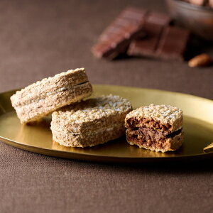 j Ԃ oY bZ[WJ[h  [KCze _bN[Y Ăَq A[h VRTh 8  H VR  XC[c Mtg 蕨 oYj 