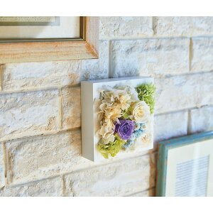 SS10%OFF j vU[uhEH[t[ XNGA p[v Ǌ| 蕨  oYj v[g e oY  w a  j j jԂ  6000~ l