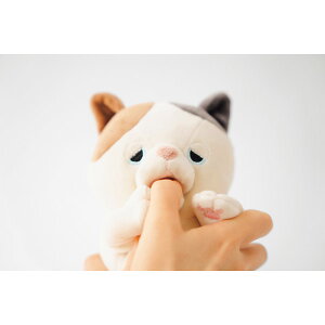 a  ʂ Ԃ Ê nn A ~PlR 蕨  oYj j oY  w AE a  j j Ԃ jԂ   6000