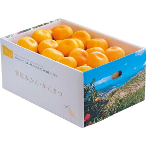 N Nn   Q FaY B݂ 5kg Z Â _  ₷ ʕ t[c 蕨 NMtg ~̑蕨 ӂ̑蕨 O HiMtg  