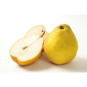 N Nn   ʌ R`Y l[W 2kg m W[V[ Â ʕ t[c 蕨 NMtg ~̑蕨 ӂ̑蕨 O HiMtg   