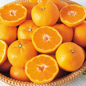 ݂ a̎RY Lc݂ 5kg  ʕ Mtg t[c Lcs 2LM  蕨 NMtg ~̑蕨 ӂ̑蕨 O HiMtg    5000~ (SS