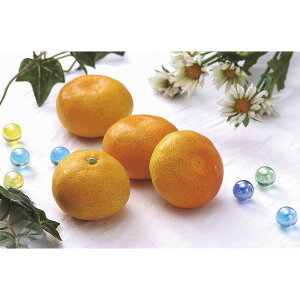 N Nn   QY ̊ۂ݂ 2kg ݂ W[V[ Â ʕ t[c 蕨 NMtg ~̑蕨 ӂ̑蕨 O HiMtg    5