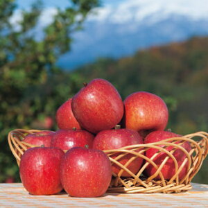  5kg ӂ R`Y Tӂ Gi 811  ʕ Mtg t[c ь 蕨 NMtg ~̑蕨 ӂ̑蕨 O HiMtg    6