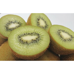 年末 年始 ごちそう おせち 福岡県産 博多甘熟娘 うれっこキウイ 1.5kg キウイ 追熟 人気ブランド 果物 フルーツ 贈り物 年末ギフト 冬の贈り物 感謝の贈り物 グルメ 食品ギフト ごちそう お取