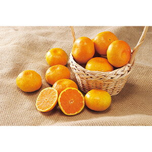 N Nn   ݂  l Tӂ a̎RY QY { ʕ t[c 蕨 NMtg ~̑蕨 ӂ̑蕨 O HiMtg   