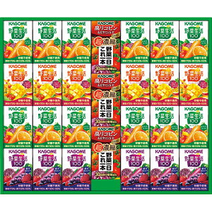 Ε Mtg ~Mtg  bZ[WJ[h JS e ؈ MtgZbg 27{ W[X hN ؐ x[T_ }S[T_ ؃W[X Mtg 蕨 j