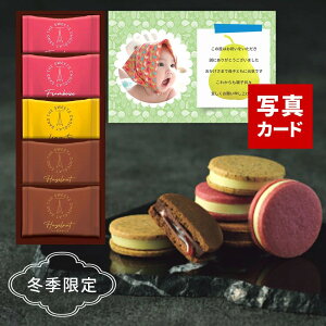 Ε Mtg ~Mtg  bZ[WJ[h َq UEXEB[c VRTh 5  w[[ibc t{[Y  NbL[ `R[g Mtg 蕨 j 