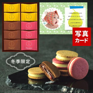 Ε  Mtg ~Mtg  bZ[WJ[h َq UEXEB[c VRTh 10  w[[ibc t{[Y  NbL[ `R[g Mtg 蕨 